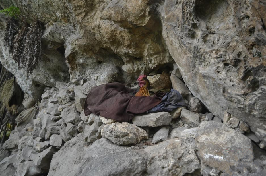 山洞里的八旬老人,与世隔绝半个世纪,故土难离选择独居