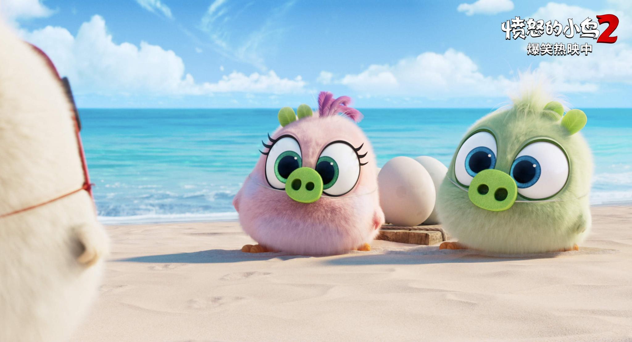 愤怒的小鸟2爆笑热映好评不断新主题曲mv猪鸟友谊欢乐多