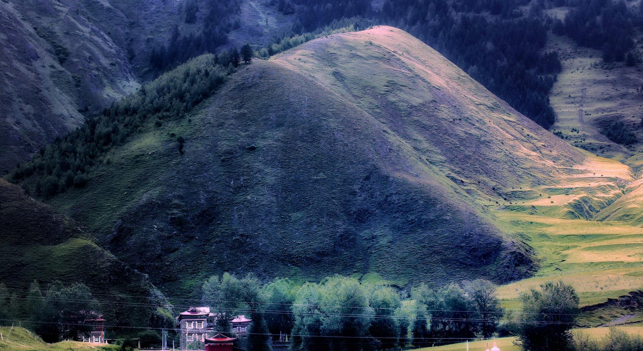 夏季里来到新都桥_高清图集_新浪网