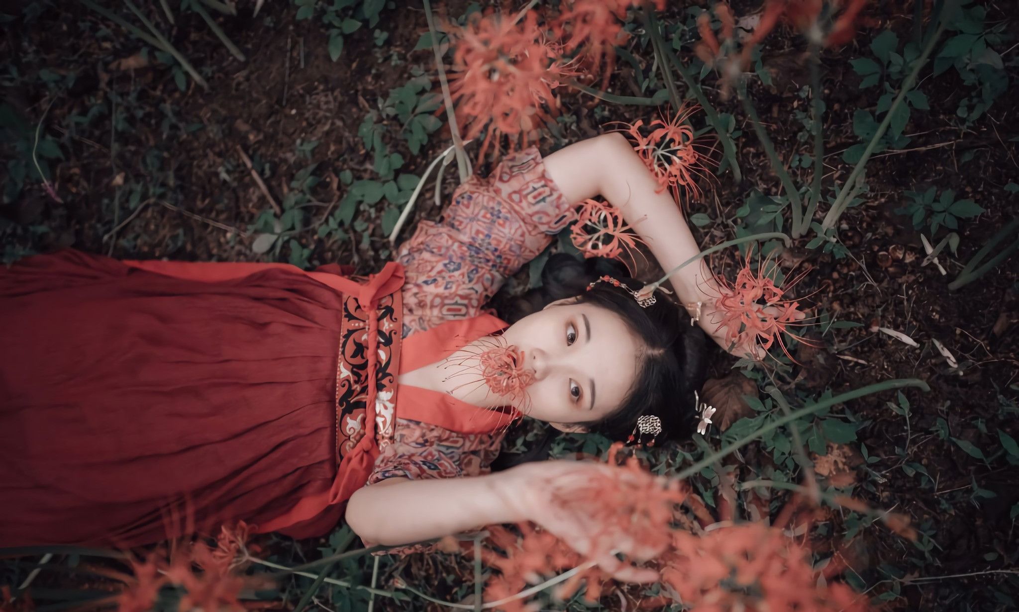 汉服写真第49期《沙华》小编推荐另类的彼岸花少女写真|沙华|汤圆