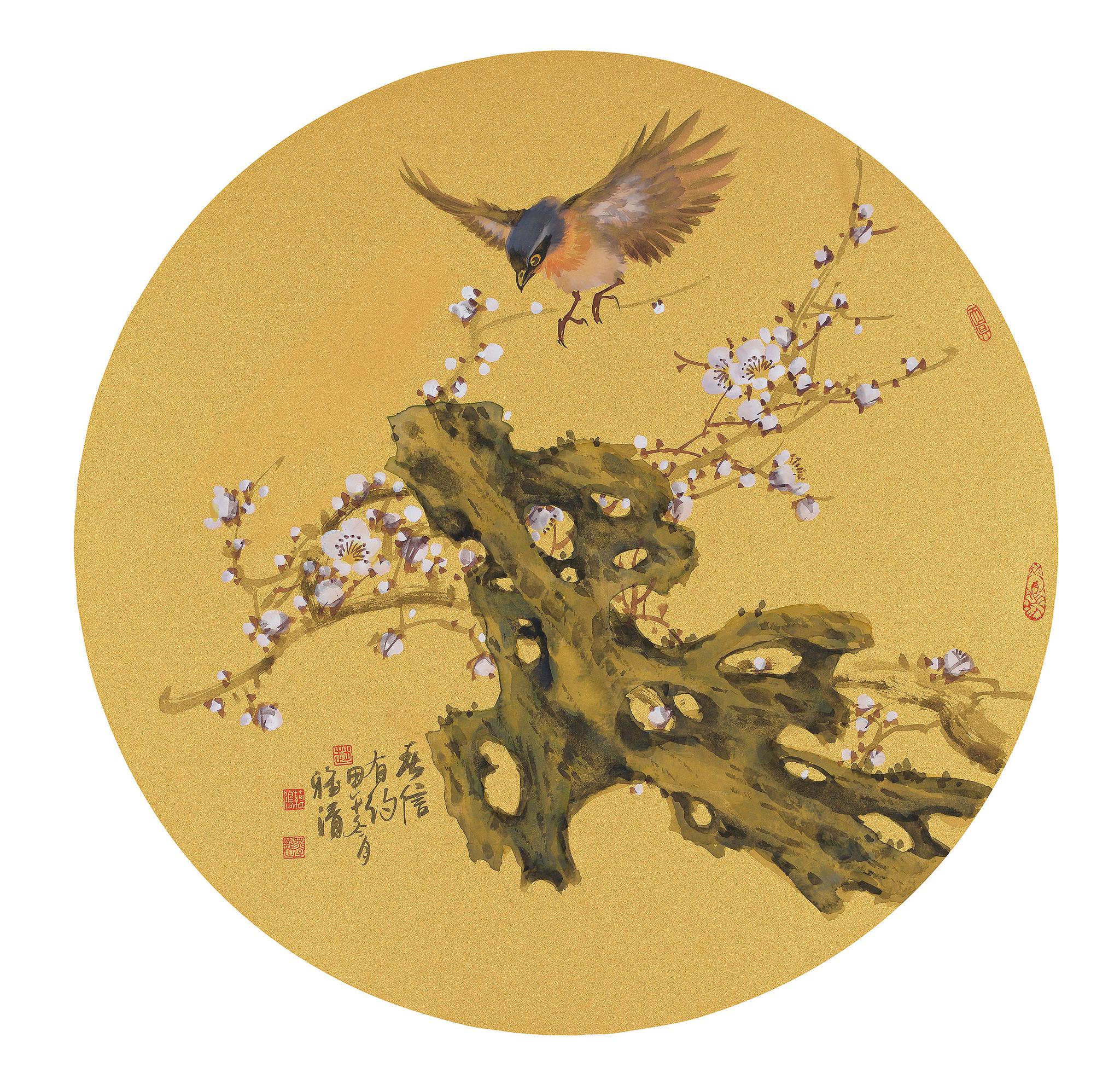 赵雅清的写意花鸟小品,优雅,灵动,赏心悦目|赵雅清|小品|花鸟_新浪