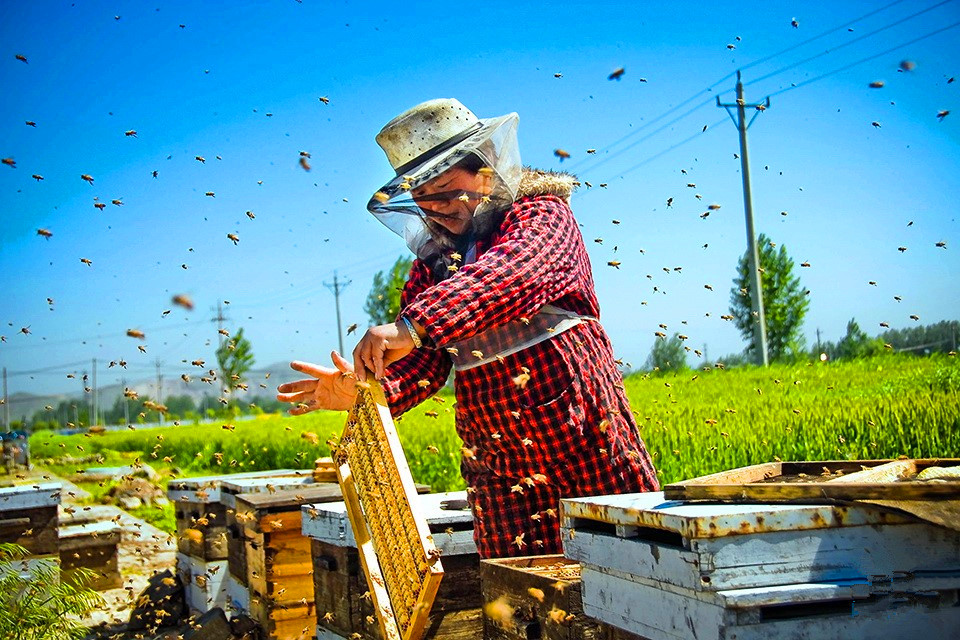 一组社会各界劳动者的真实照片,辛勤劳动创造世界