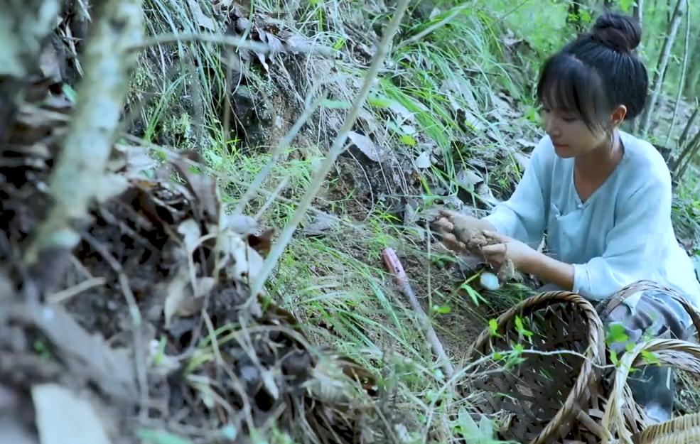 李子柒巧制逍遥草本茶,继承古法美食精髓,使得茶味醇香又美味