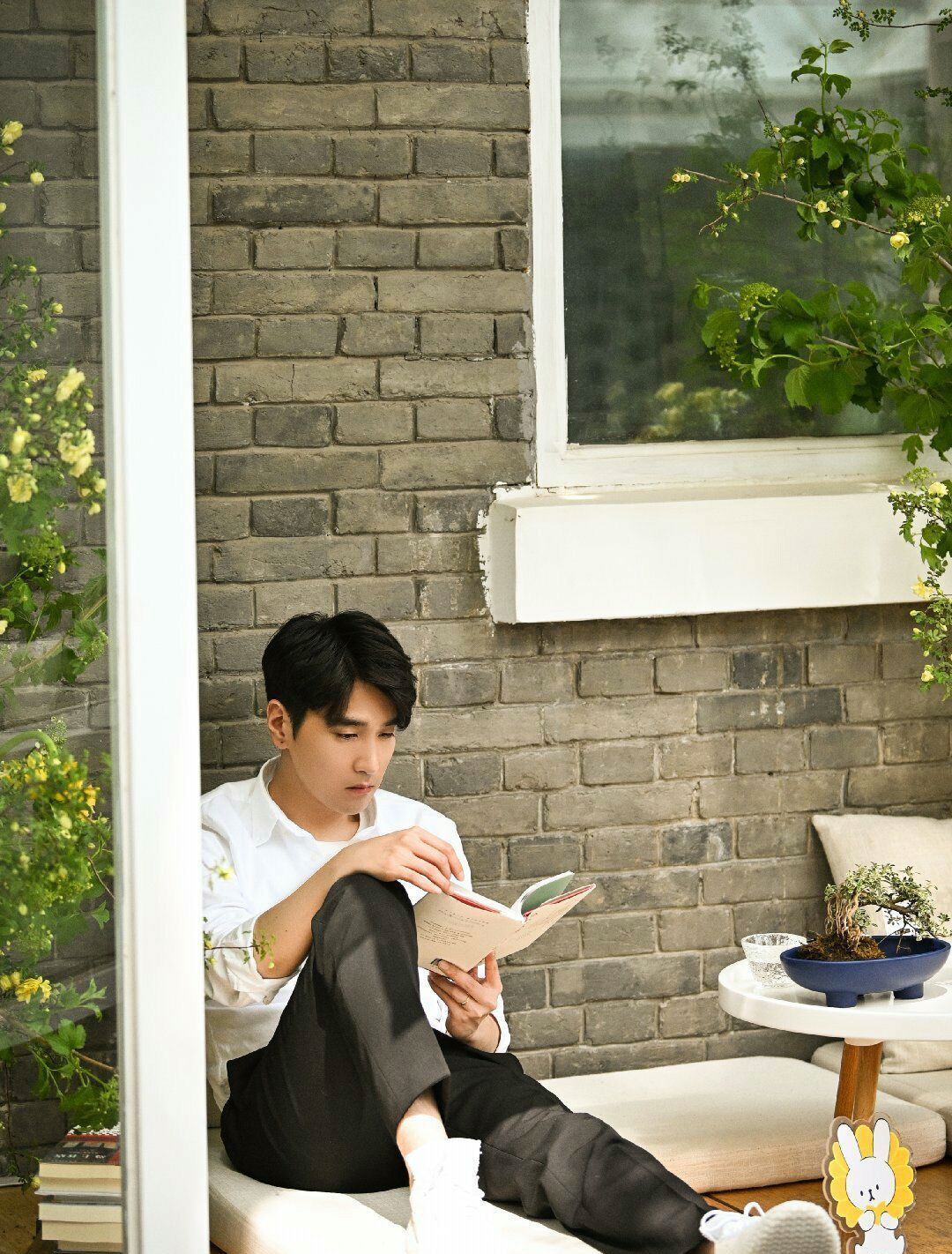 男明星看书合集,跟着胡歌,王俊凯,杨洋一起学习起来吧