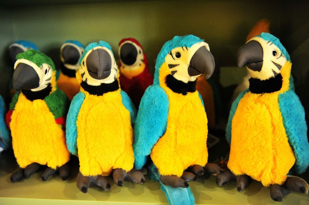 青岛森林野生动物世界除有猛兽小动物 萌萌的动物布偶也很逗人