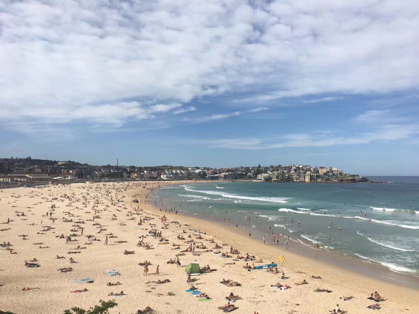 澳大利亚 悉尼 邦迪海滩