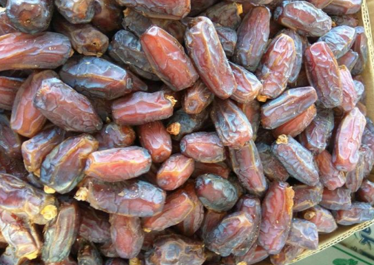 种一颗就能结几千颗果实,被称作沙漠"水果之王",晒干了最好吃