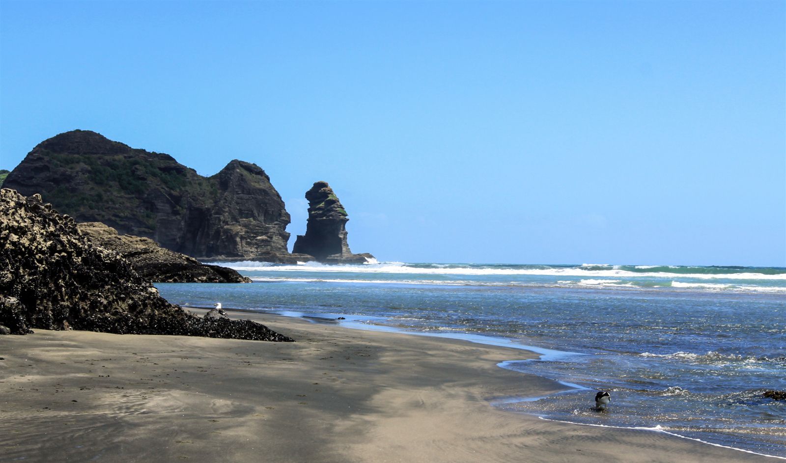 皮哈海滩观日落 万古长思天上来 | 新西兰旅游人文 | 新西兰先驱报中文网