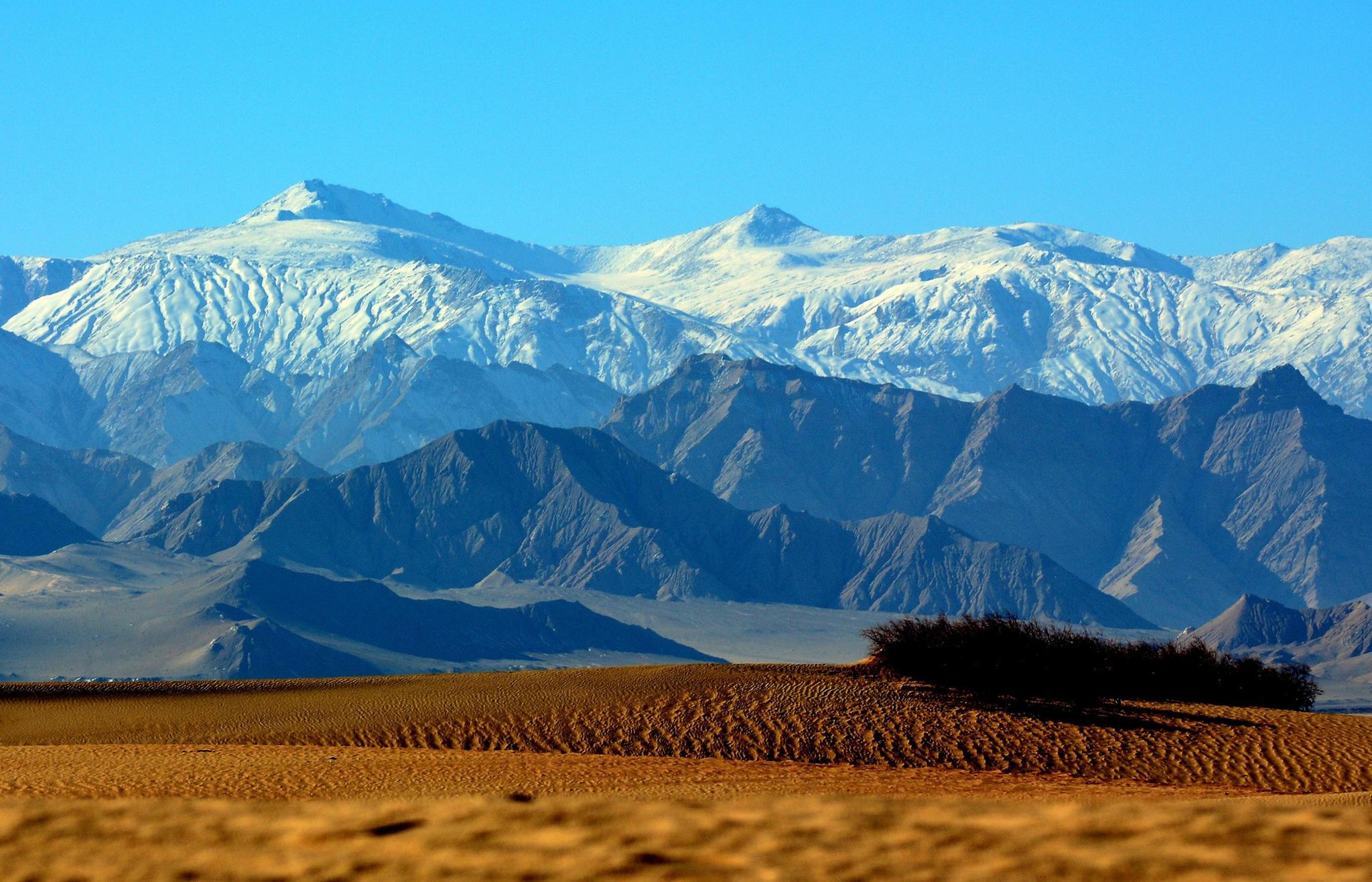 相关研究已经证实,全球气候异常会使青藏高原一带的生态环境发生急剧