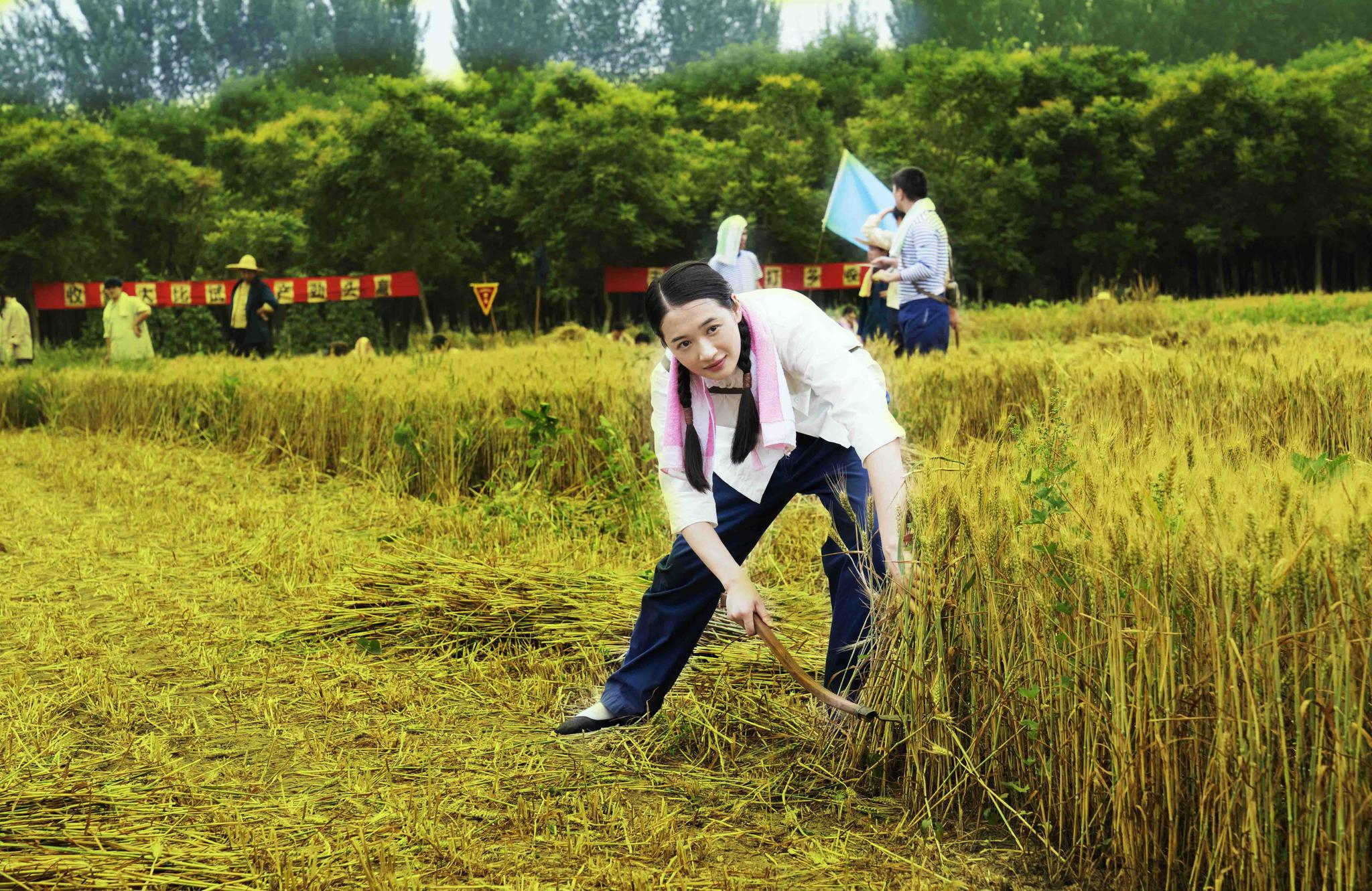 刘恩佳《芝麻胡同》热播 进取青年辛红正式上线