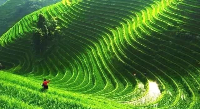 摄影节奏教科书式的解读,带你拍出有韵律的照片