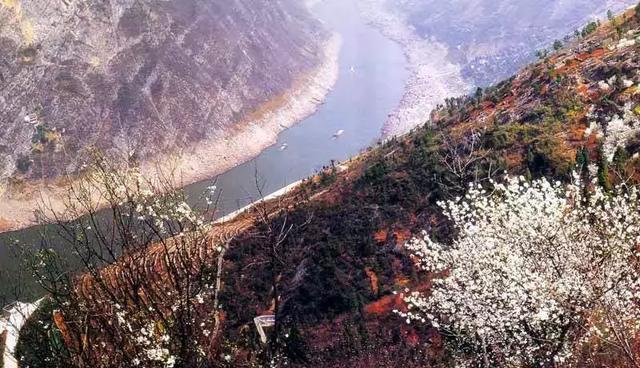 十二峰之一-集仙峰20--巫山十二峰之一-飞凤峰19--巫山十二峰之一