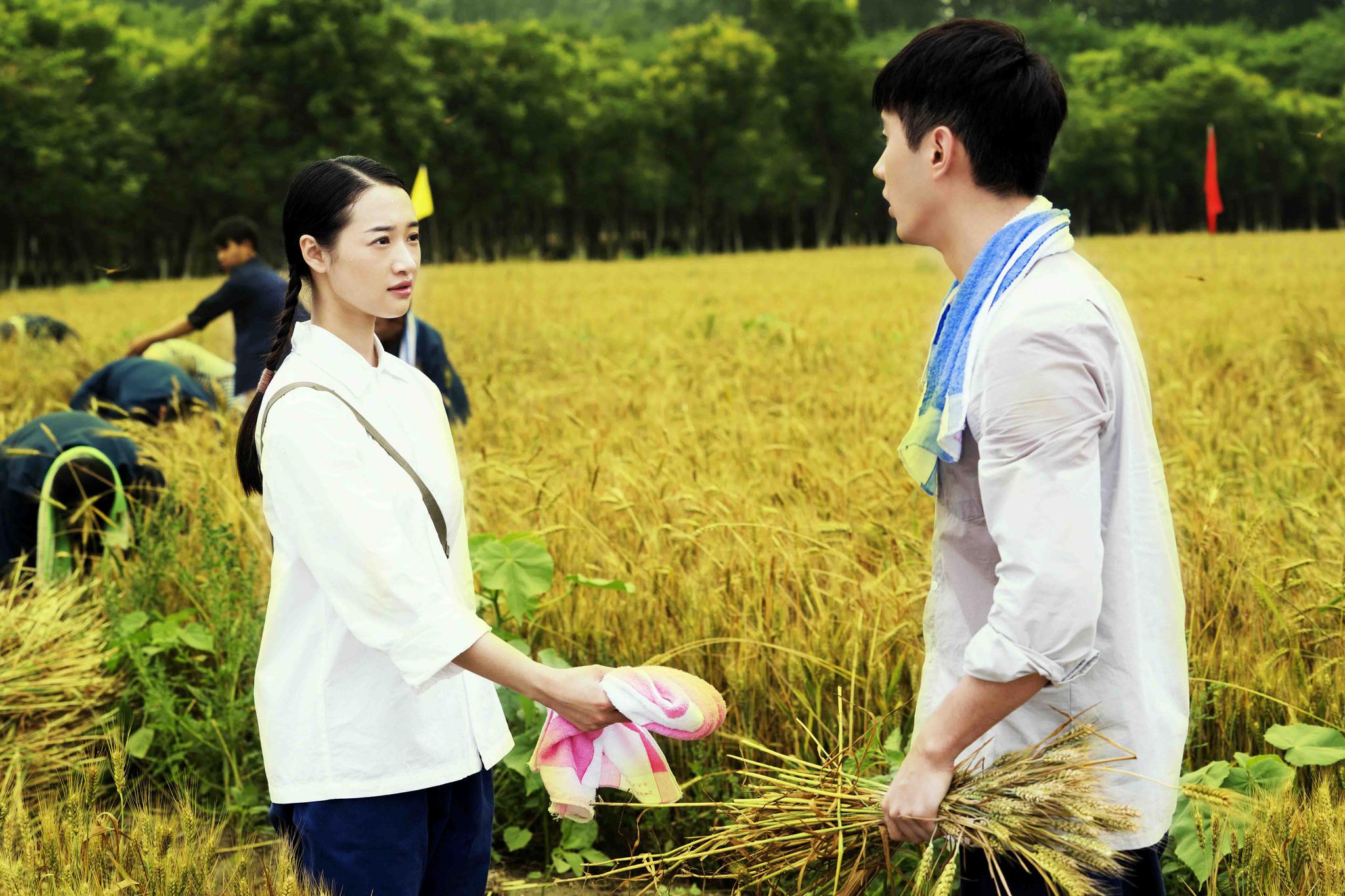 刘恩佳《芝麻胡同》热播 进取青年辛红正式上线