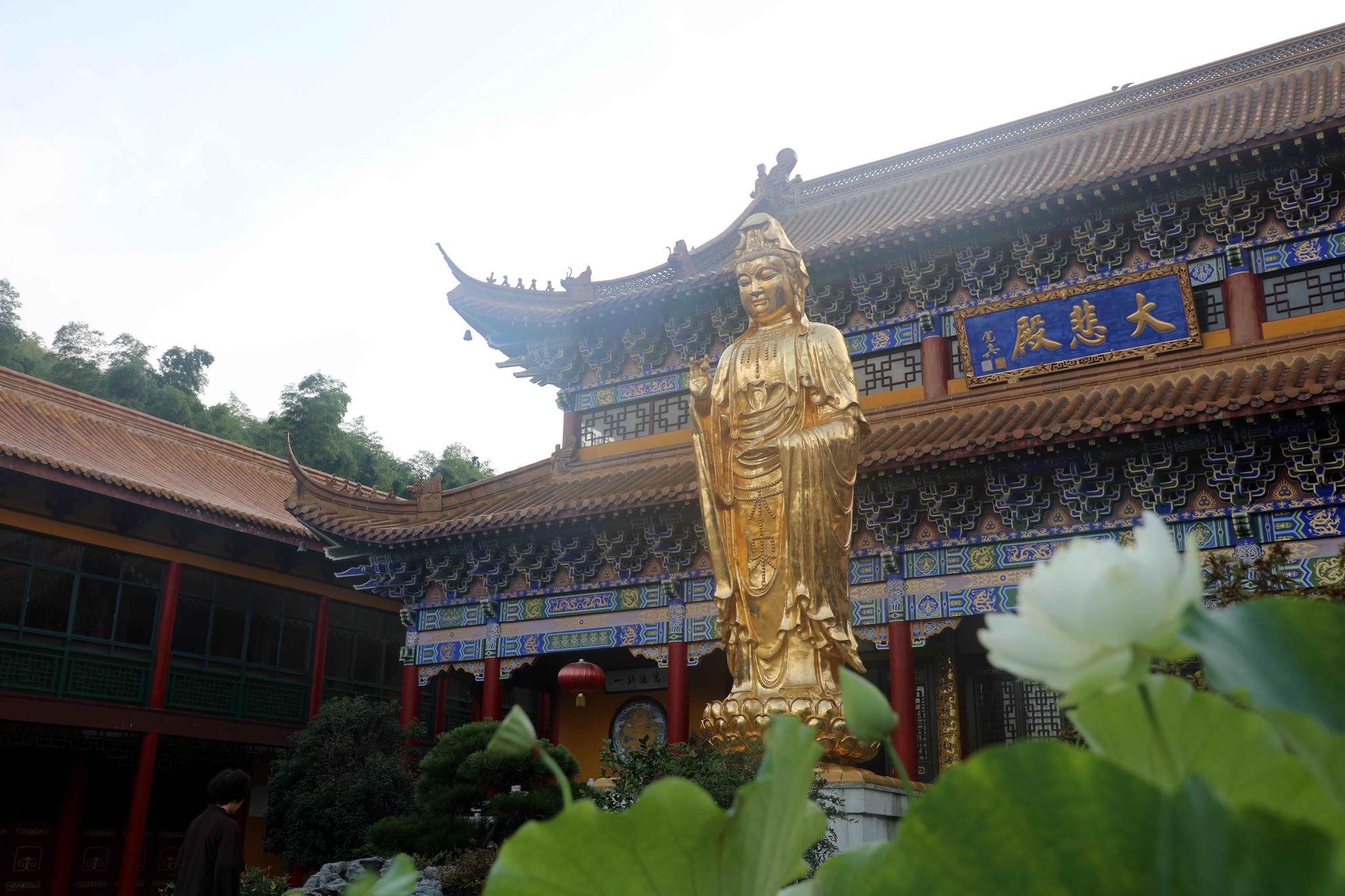 安徽宣城盛夏第一次来这一座千年古刹最美园林寺庙果然不一般