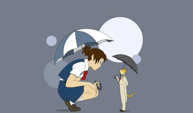 猫的报恩:生命可以随心所欲,但不能随波逐流|猫王|猫|男爵_新浪新闻
