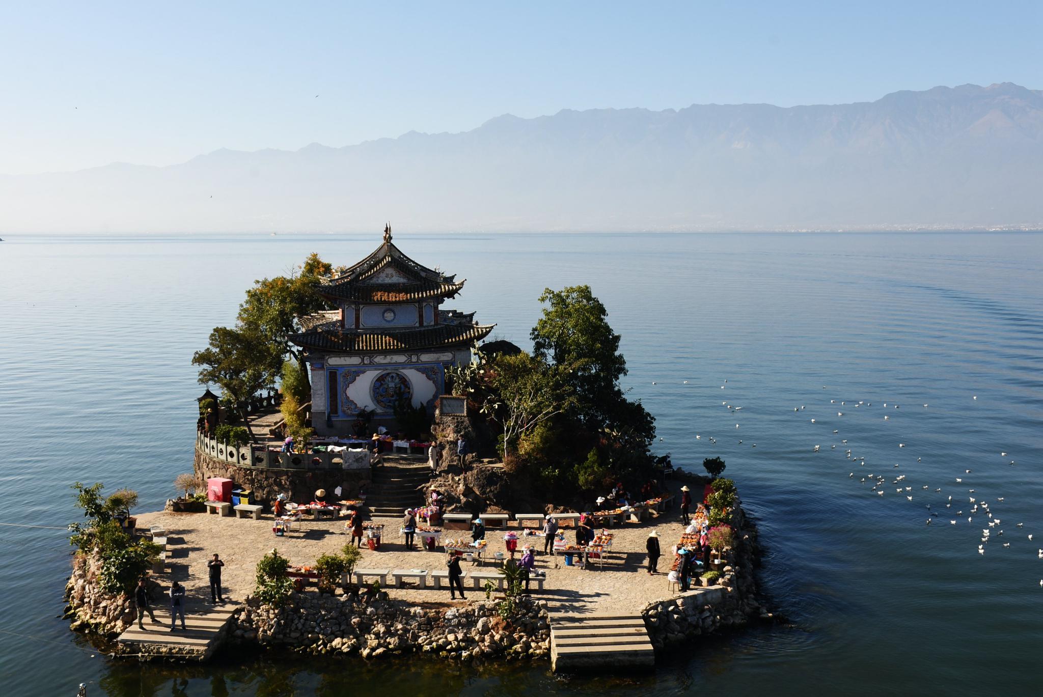 冬日里的大理依旧繁花似锦 风景美如画