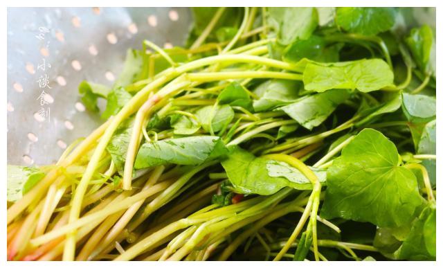 它是天然"净肠草",2块钱1把,常吃排出体内垃圾,身体更好了