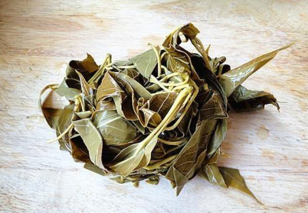 农村能吃的树叶有哪些呢杨树遍地都是杨树叶却少有人吃了