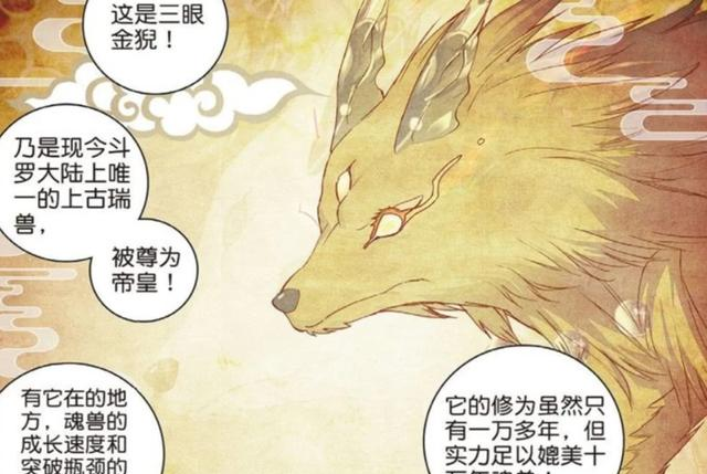 王秋儿走出星斗后,为何从不用三眼金猊战斗,并非不能只因不想