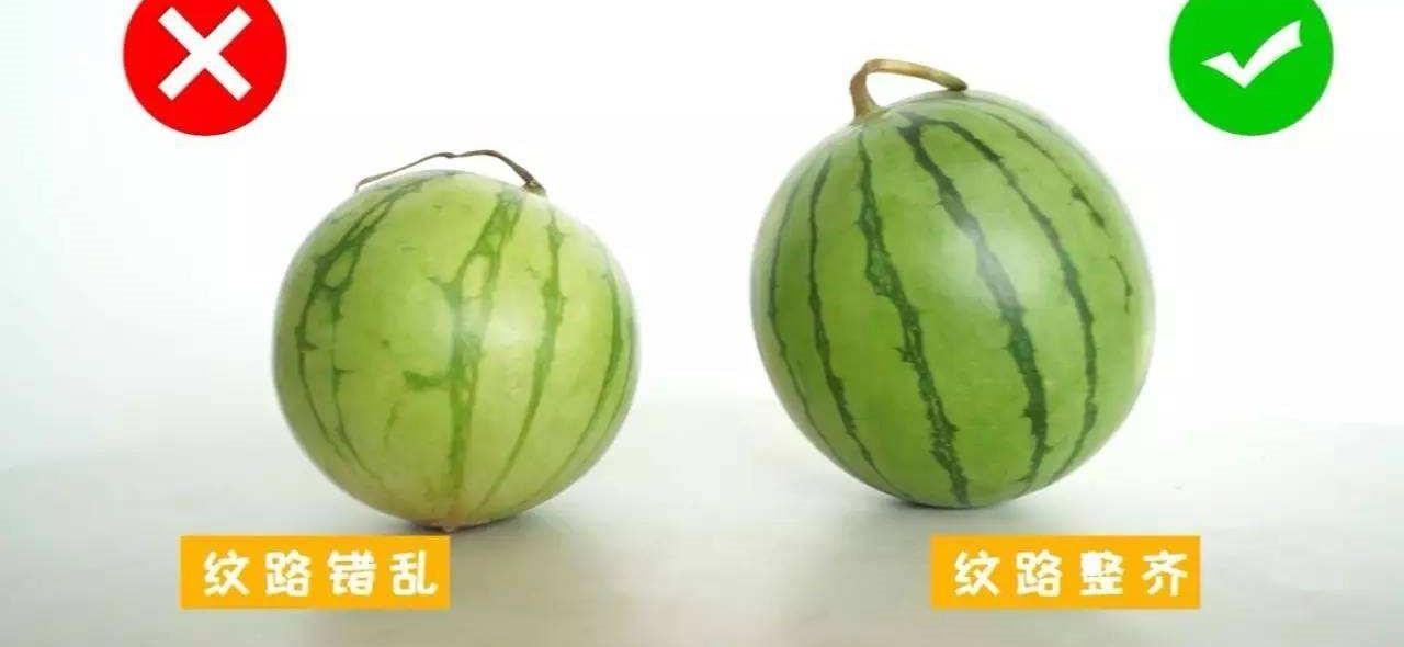 优质西瓜怎样挑选『优质西瓜怎样挑选才甜』
