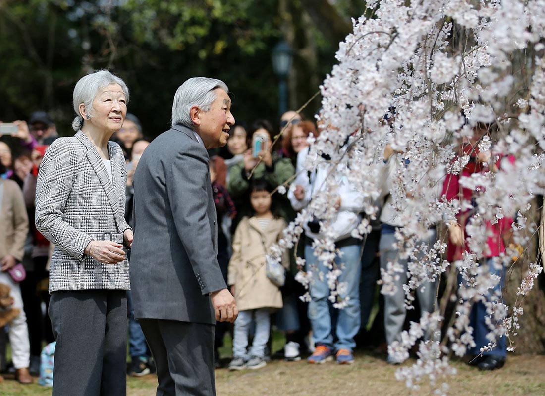 日本京都樱花盛开 明仁天皇和皇后与民一起赏樱花