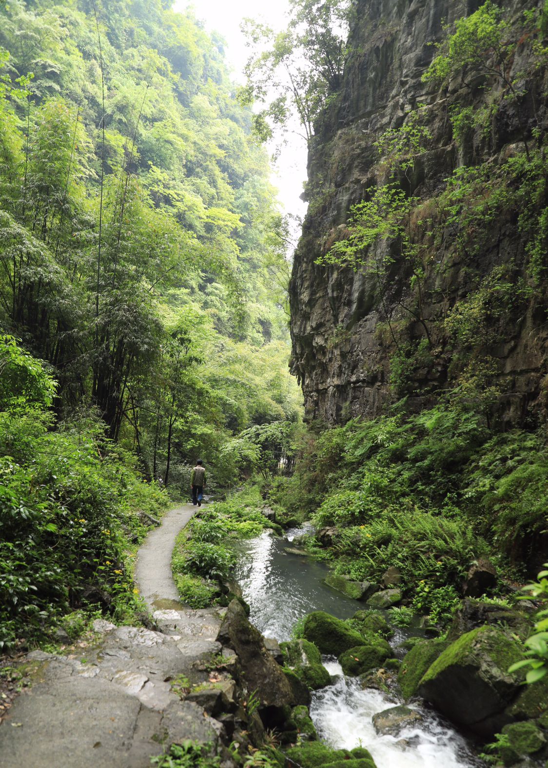 山间小溪车村图片