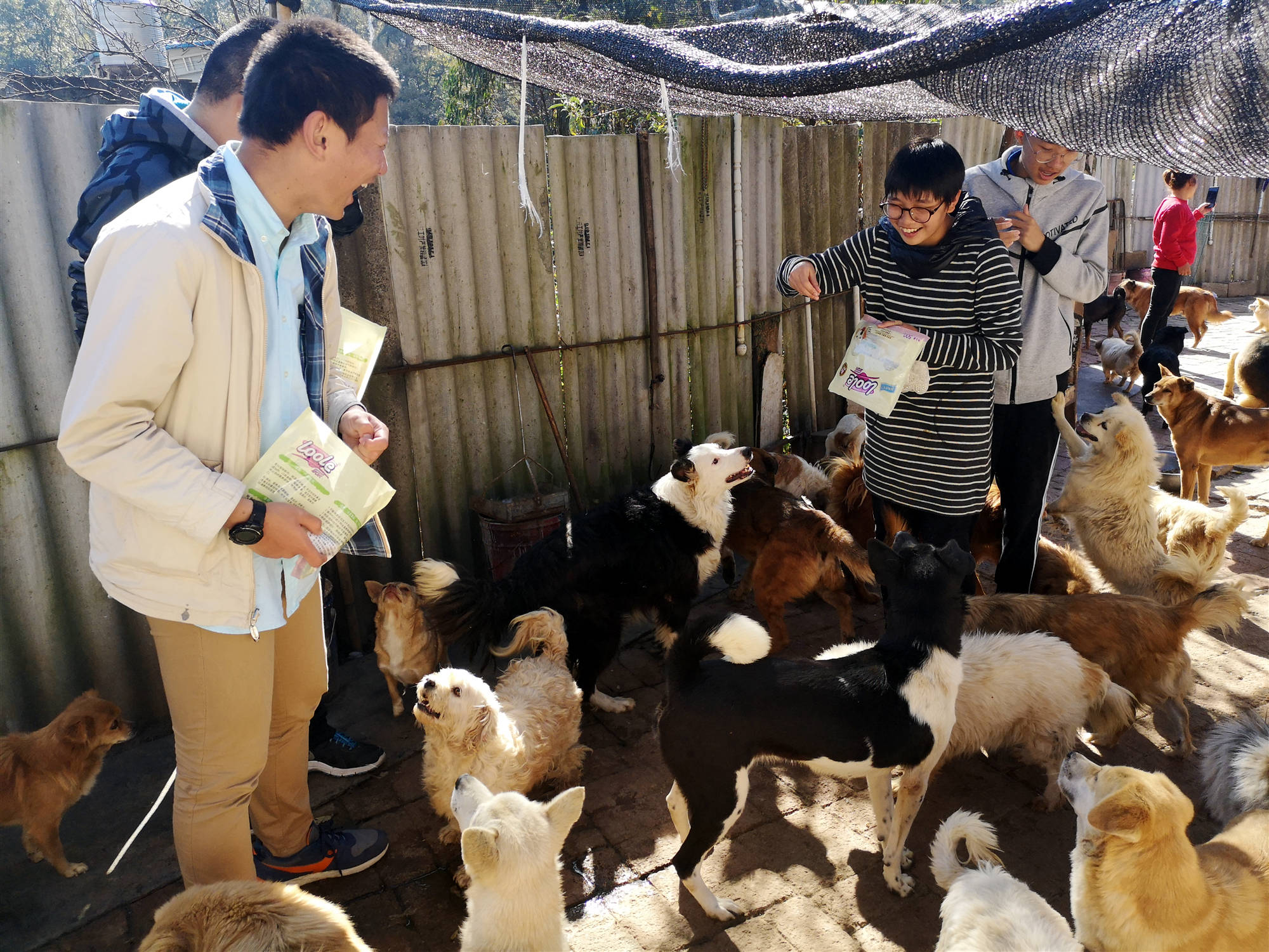 关爱流浪小动物-云南师范大学动保社