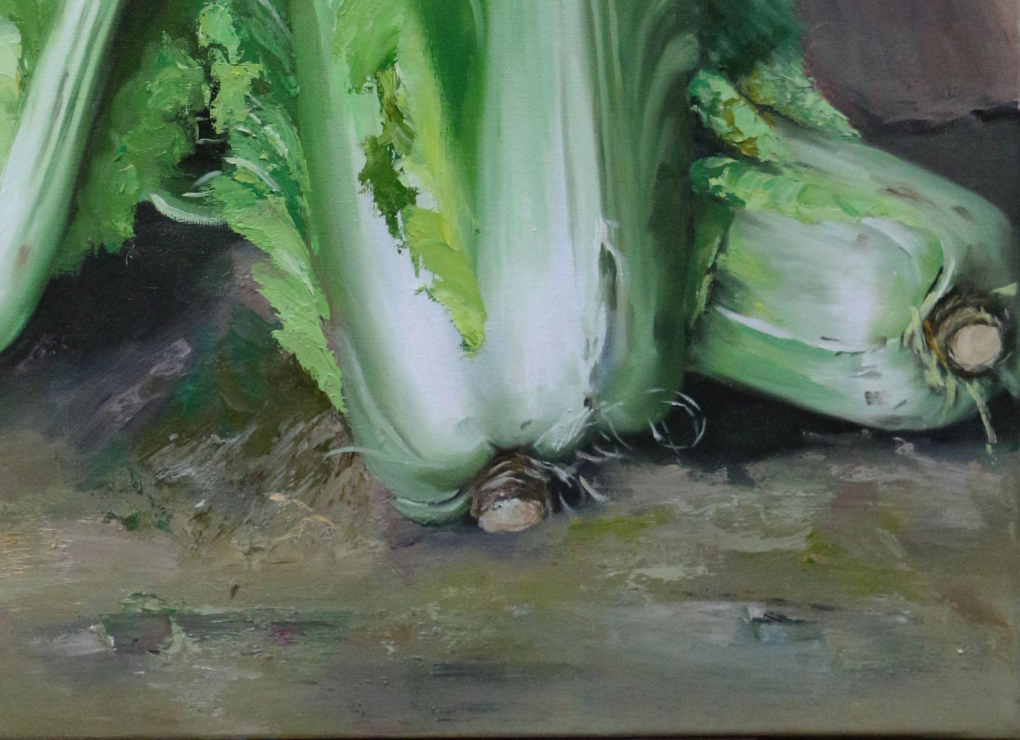 世界上最贵的两颗大白菜每颗卖了20多万