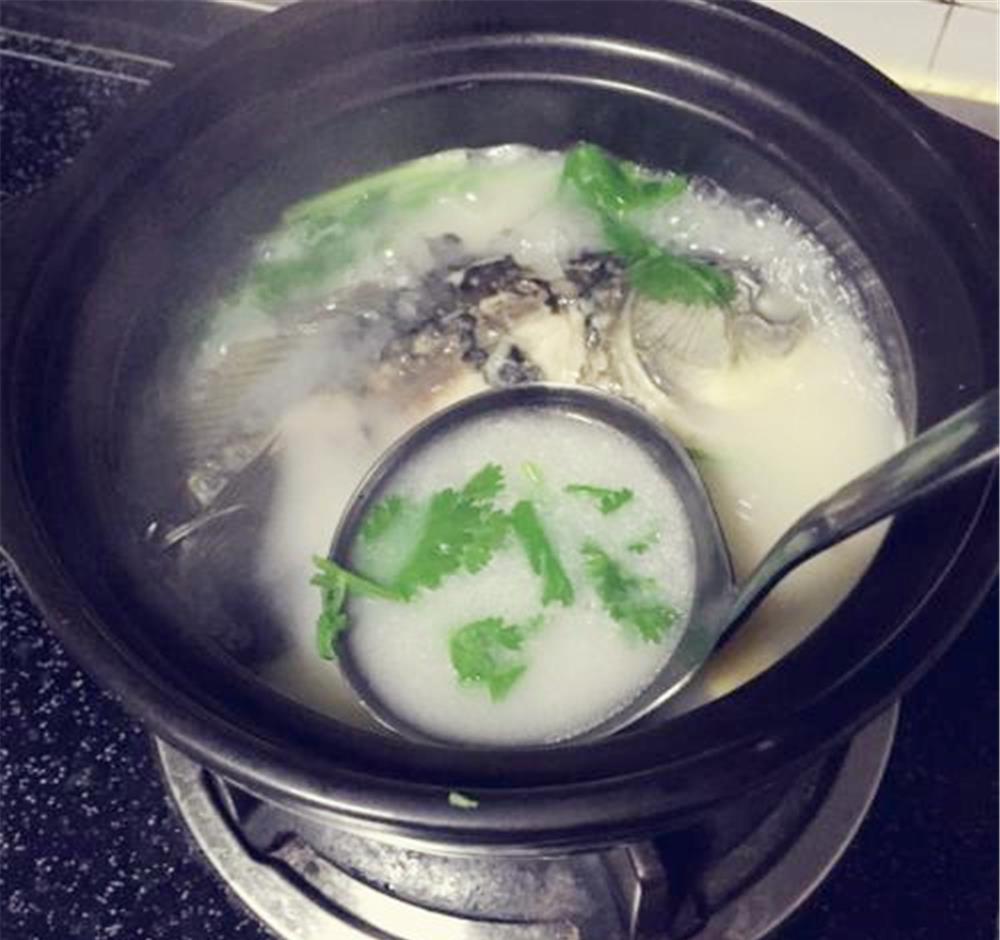 炖鲫鱼汤想要奶白色,就要这样做|鲫鱼汤|奶白色|鱼汤_新浪新闻