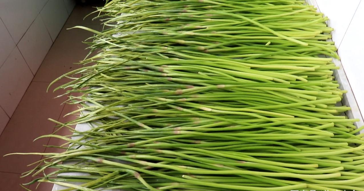 腌蒜薹的季节到了,教你在家腌蒜苔,酸脆爽口,好吃又下饭