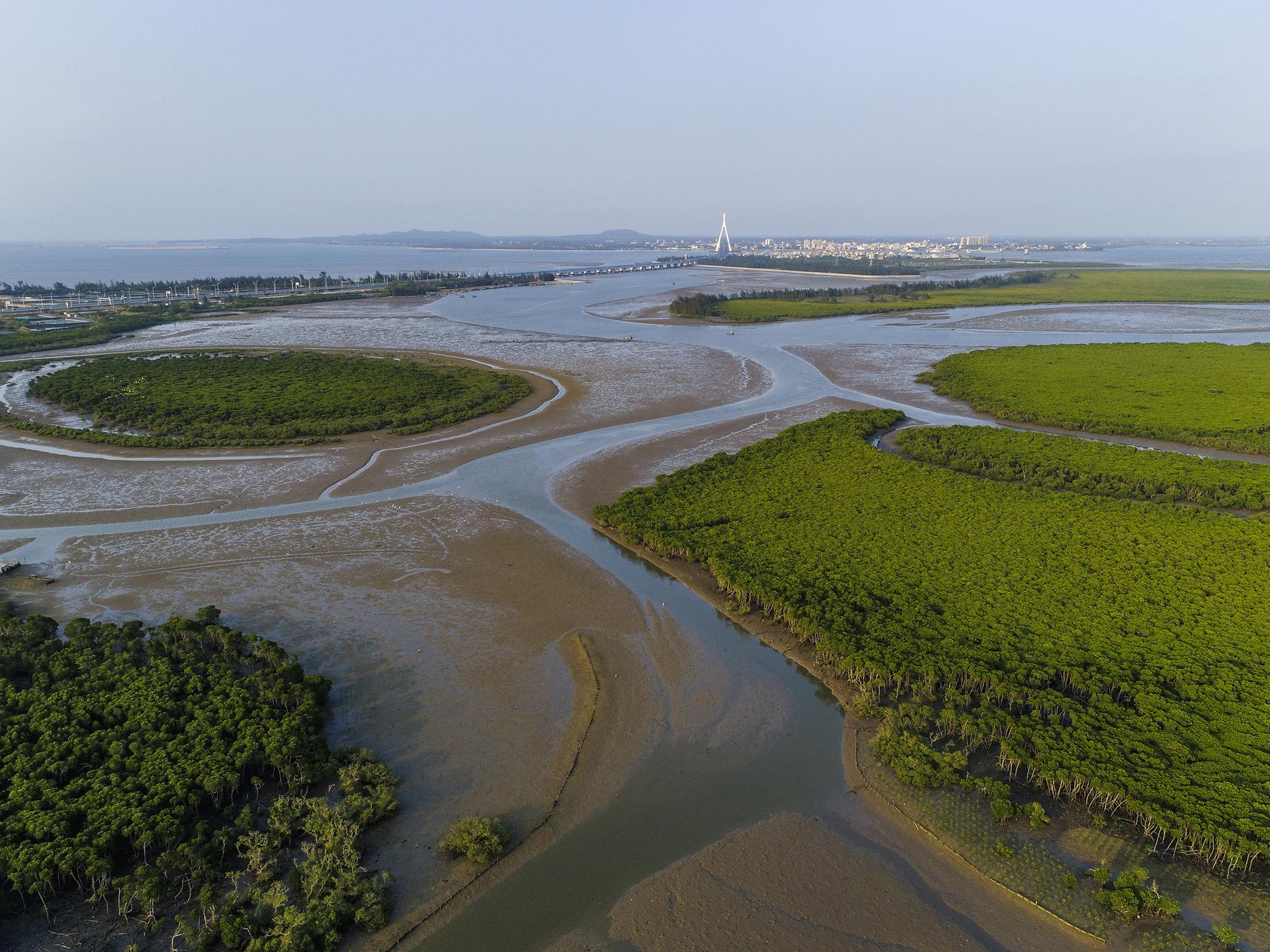 傍晚,海口演丰红树林美景