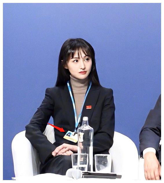 有种"证件照"叫郑爽,出席联合国会议卸掉妆容,依旧清纯灵动!