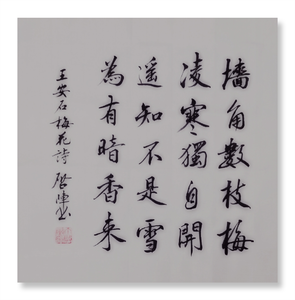 王安石梅花借梅花表明自己的志向情操