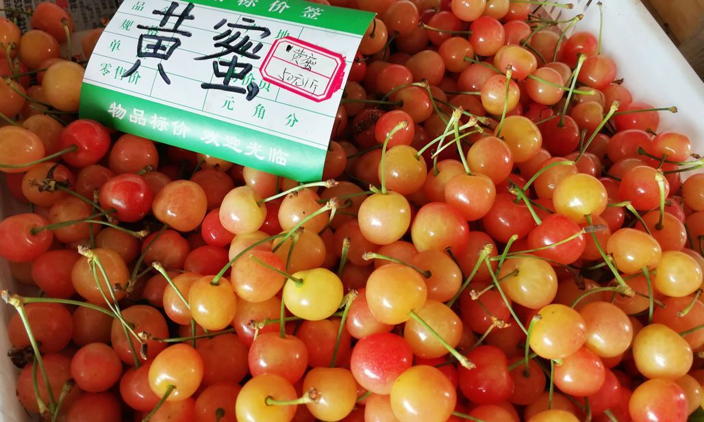 樱桃长成心形取名鸳鸯50元一斤比黄蜜还贵店主说帅哥买的多