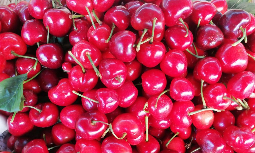 樱桃长成心形取名鸳鸯50元一斤比黄蜜还贵店主说帅哥买的多