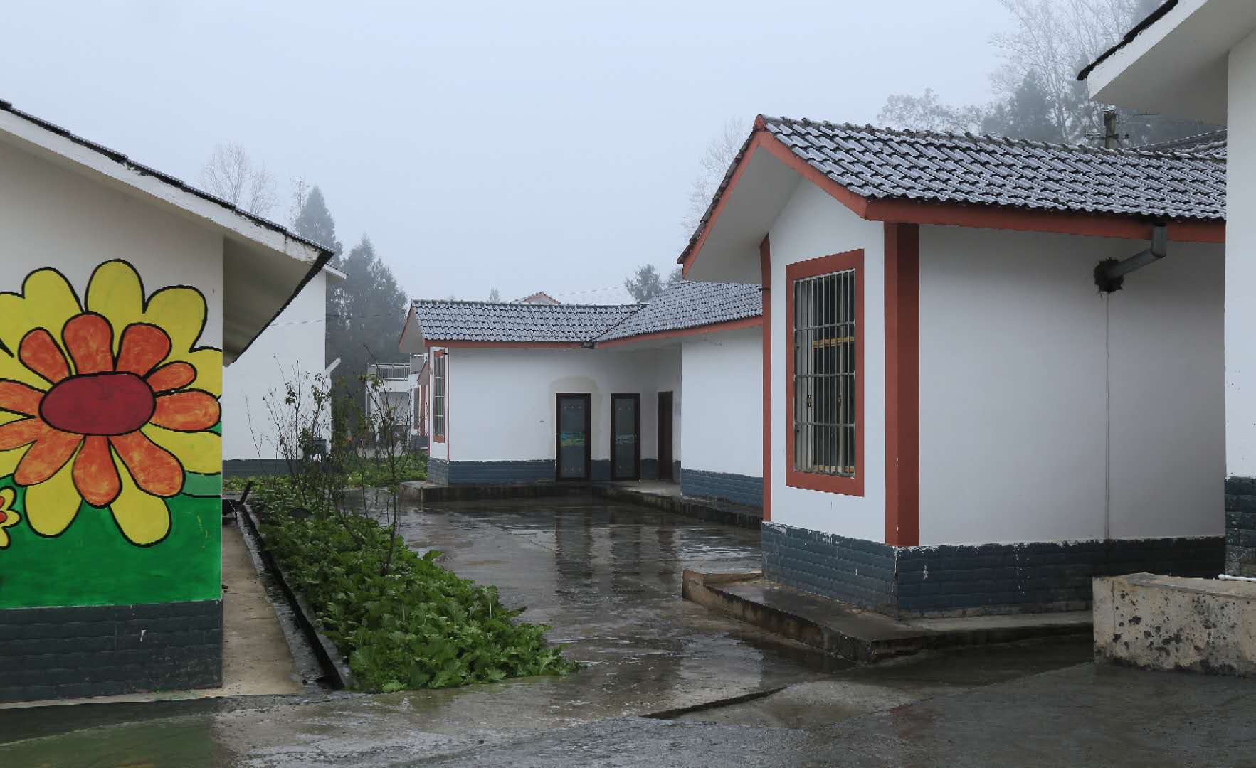 扶贫在路上:巴中市新联会走进鼎山镇连通村