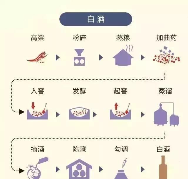 5张图让你一目了然看懂酒为什么有不同的样貌与口感