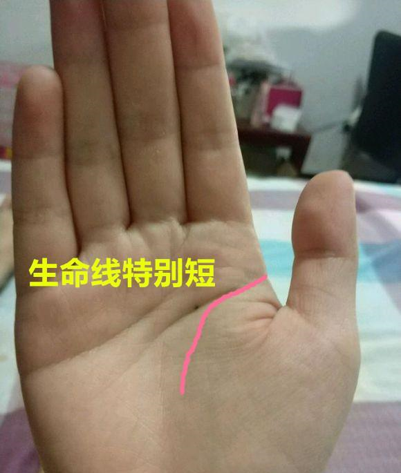 你命里疾病灾难几何 长寿还是短命 看看"这里"就知道|生命线|灾难