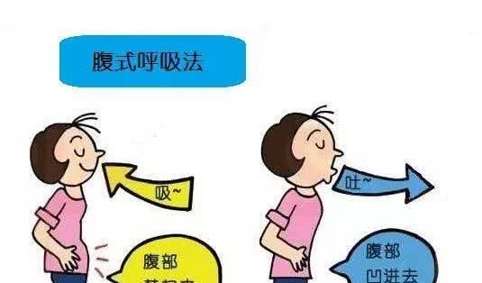 以上图片来自网络