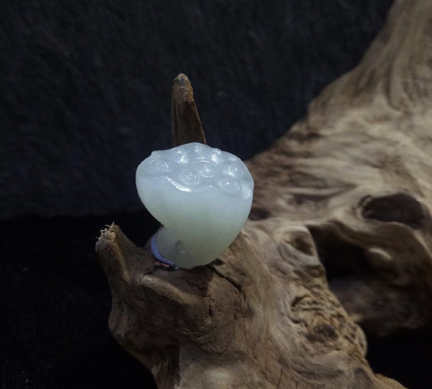 白玉飞是害死盛雪竹妈的吗 盛雪竹为什么讨厌她后妈