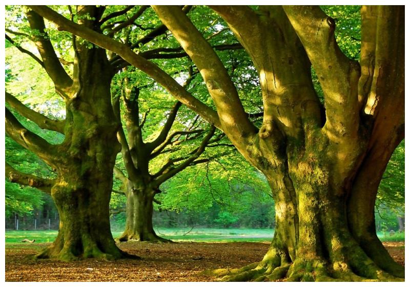 8月一到运程飙旺3大生肖有财有福有钱有势创造巨额财富