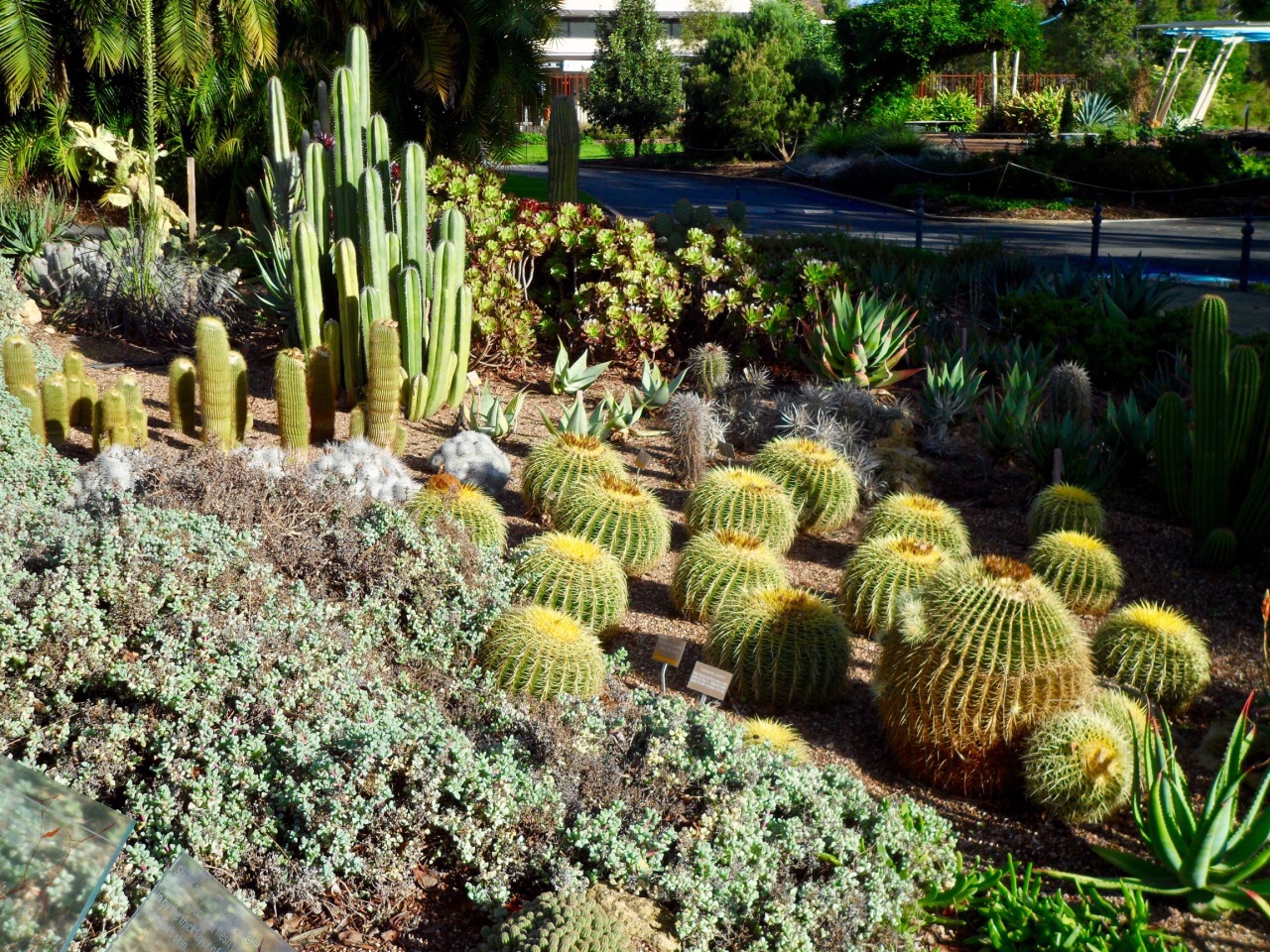 澳大利亚 阿德莱德 植物园