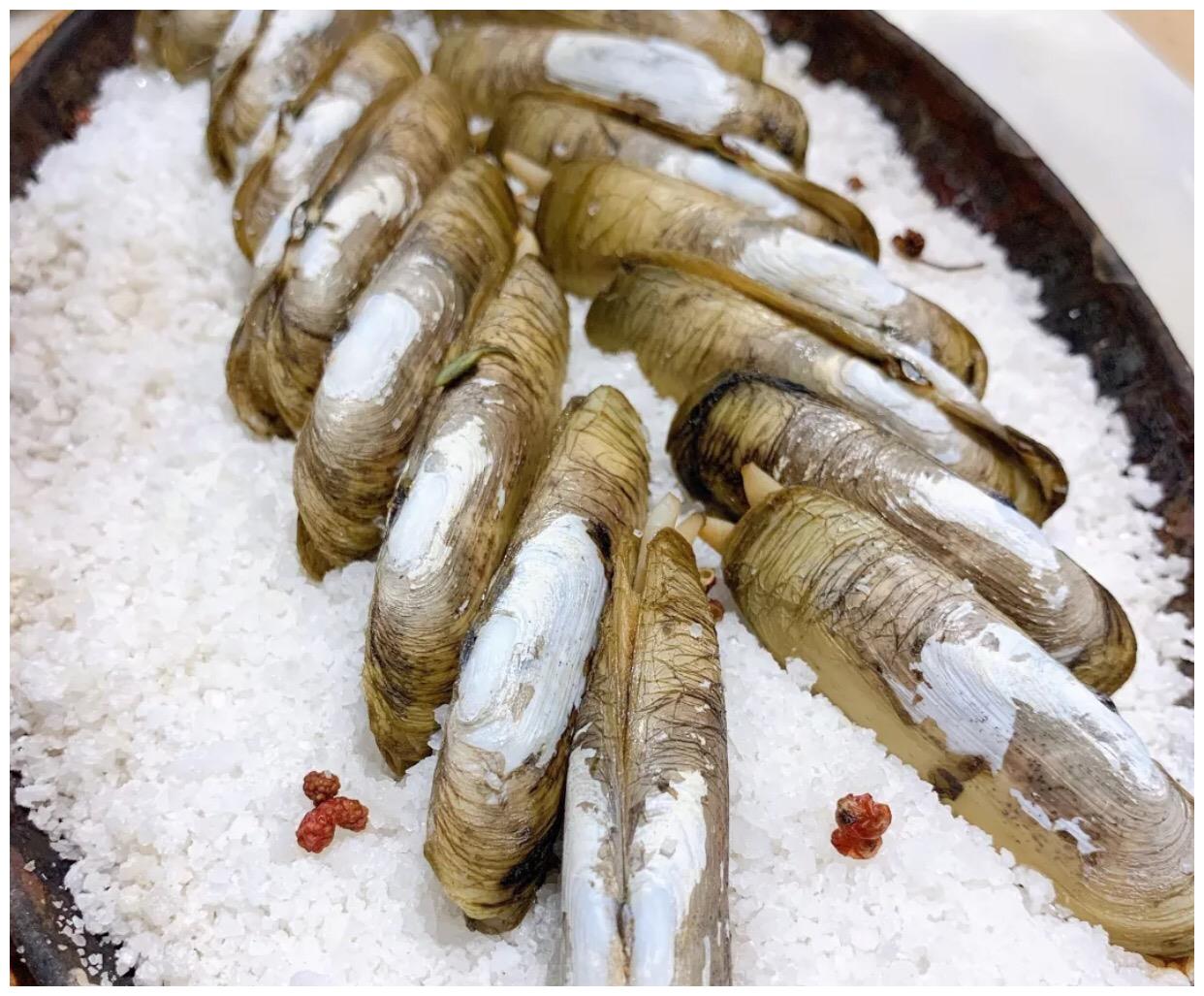 2019广州最好吃的铁板蛏子非常美味的福建菜值得一试