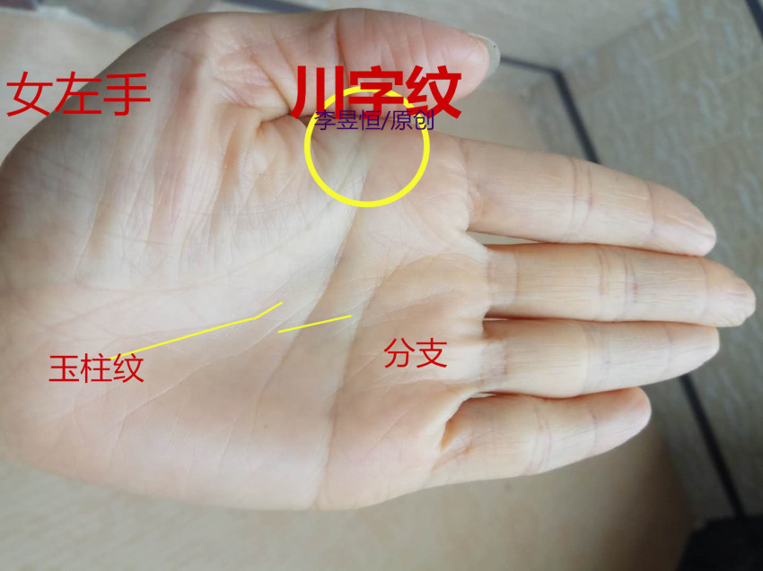 手相:巽宫田字纹,衣食无亏!