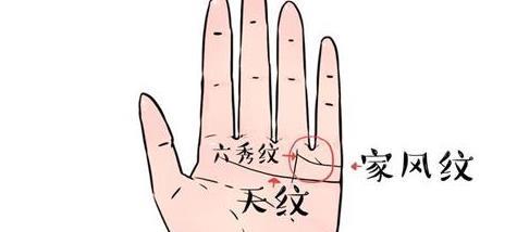 三种:家风纹有一条枝纹上升家风纹有分支且枝纹上升,再搭配一条六秀纹