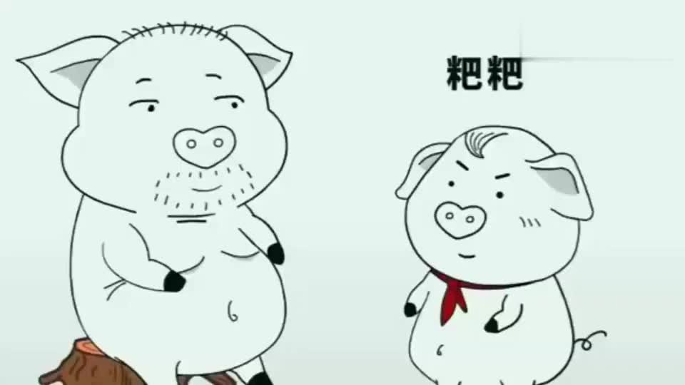 猪屁登:惊喜总是放在最后,太令人开心了!