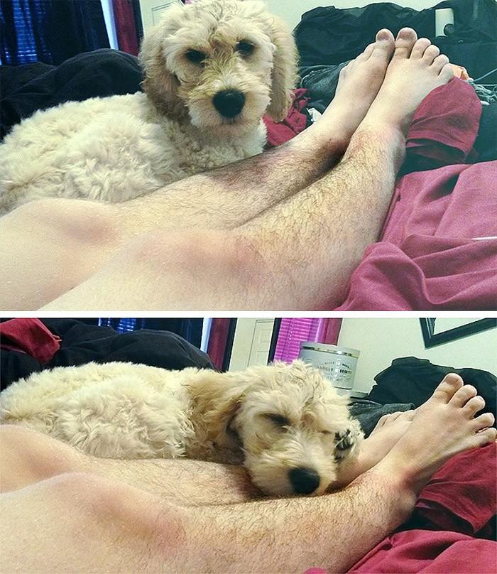 直击国外女性的"晒腿毛运动",满屏都是美女毛茸茸的小腿