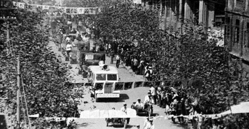 揭秘1983年严打有多厉害? 看看这组数据就知道了|死刑|严打|战役_新浪新闻