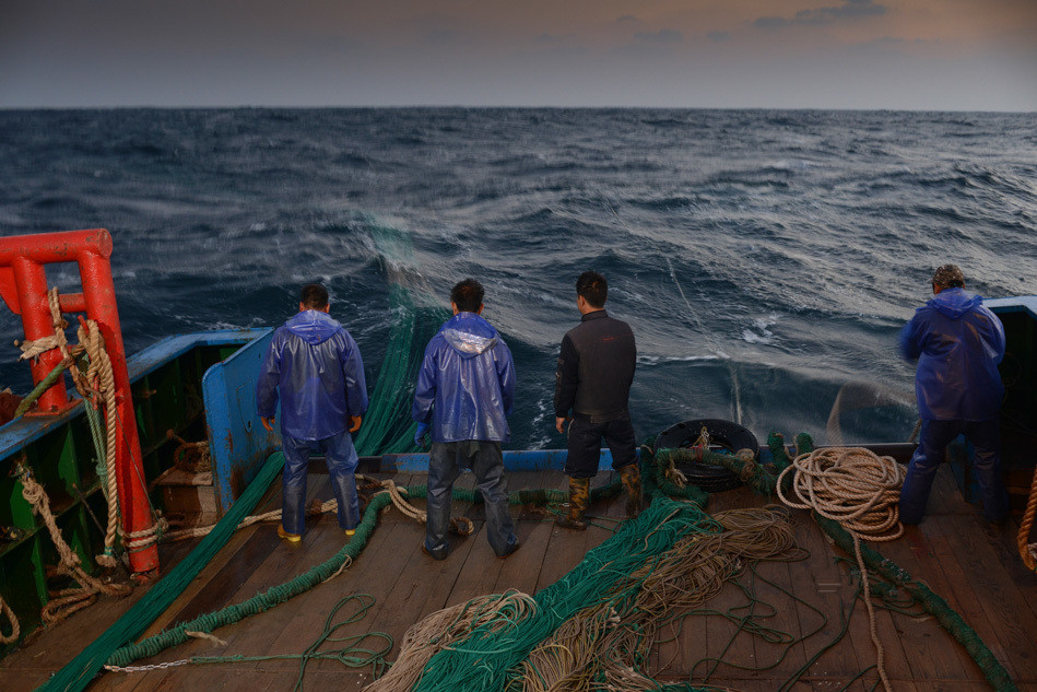 一组图直击东海上的捕鱼人,过度捕捞,2厘米的小鱼都不放过