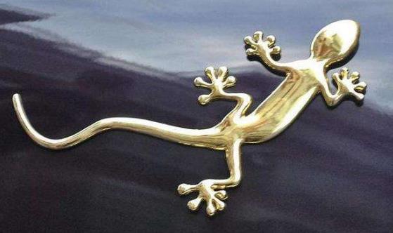 车尾的壁虎有什么含义?听老司机说完,网友:不觉明历